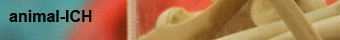 Zur Galerie - animal-ICH