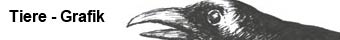 Zur Galerie - Tiere (Grafik)